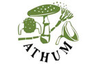 ATHUM Culture Collection of Fungi